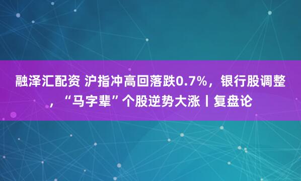 融泽汇配资 沪指冲高回落跌0.7%，银行股调整，“马字辈”个股逆势大涨丨复盘论